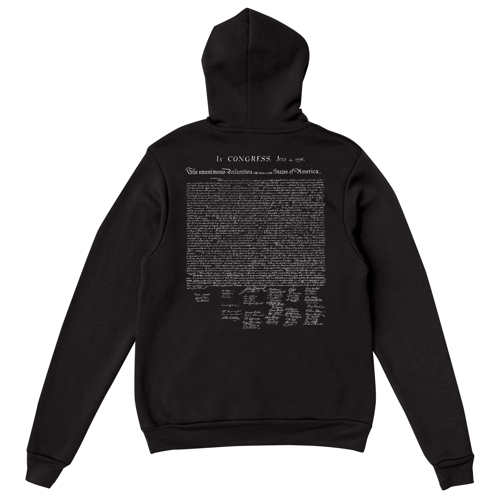 America250 Declaration of Independence Unisex Hoodie