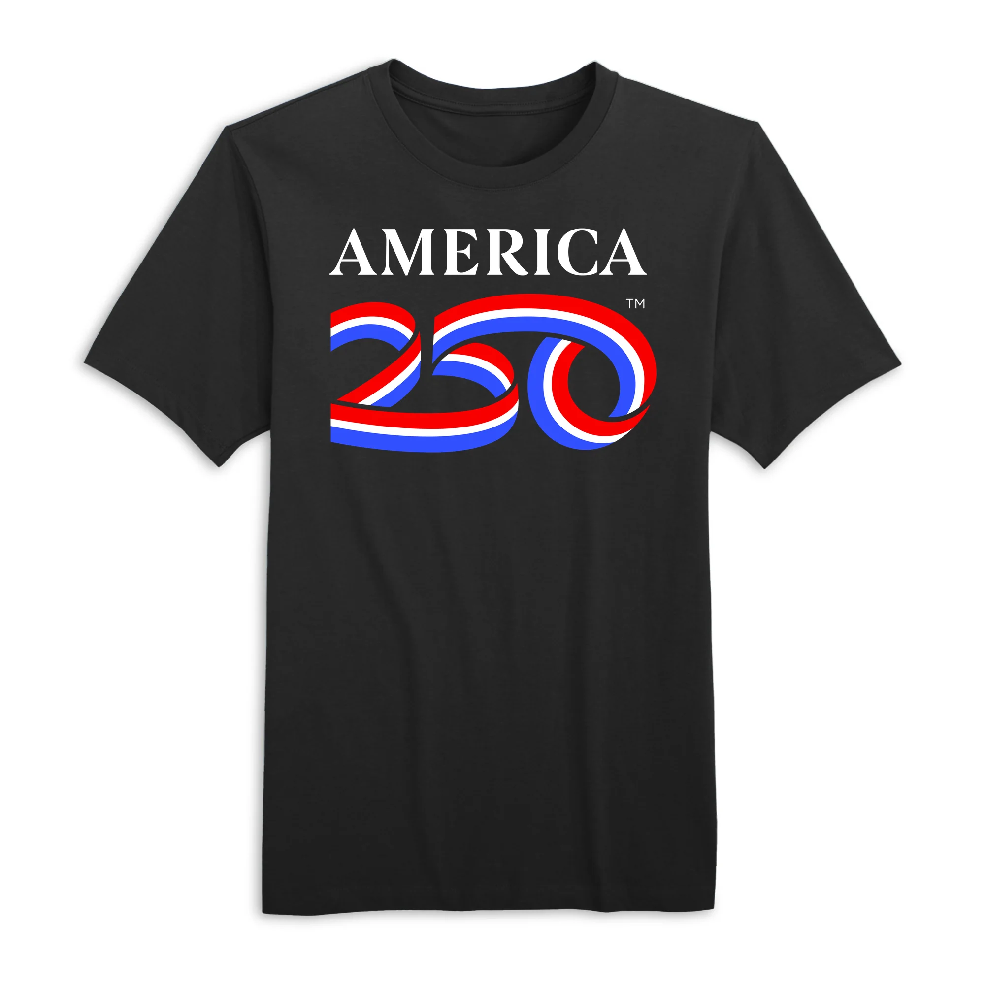 America250 Land of the FREE. Home of the BRAVE. Men's T-Shirt - Image 2